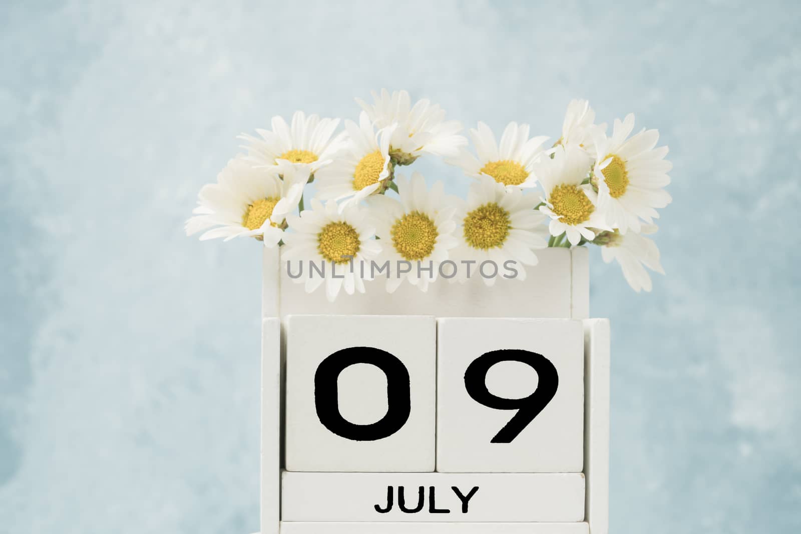 White cube calendar for july decorated with daisy flowers over blue background with copy space