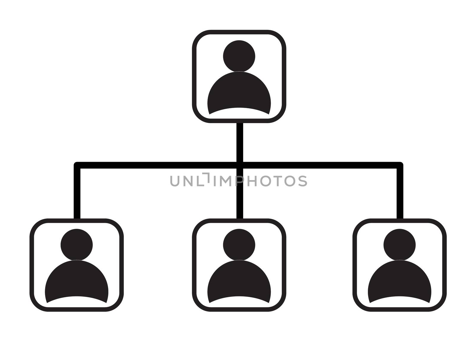 business management network hierarchy icon on white background. flat style design. social network sign.