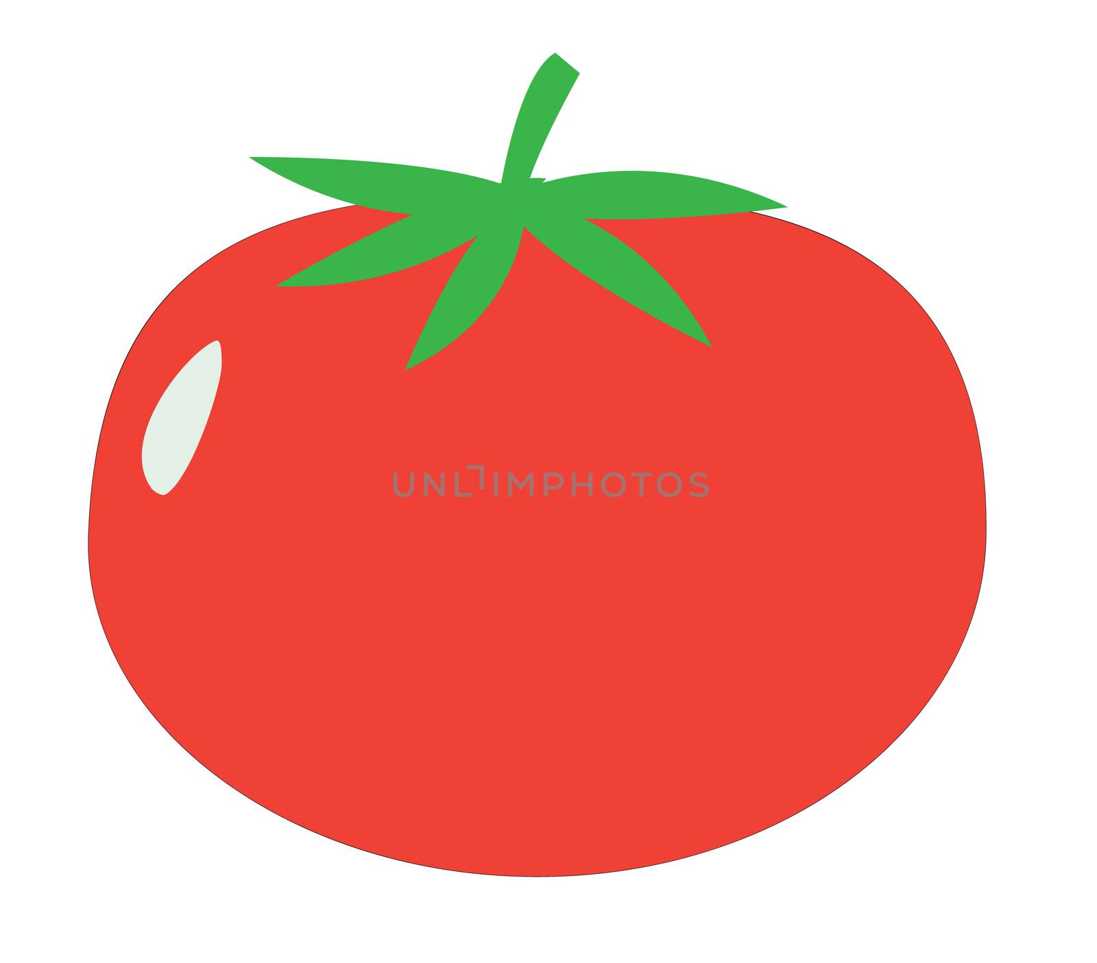 tomato sign. tomato icon on white background. flat style design. by suthee