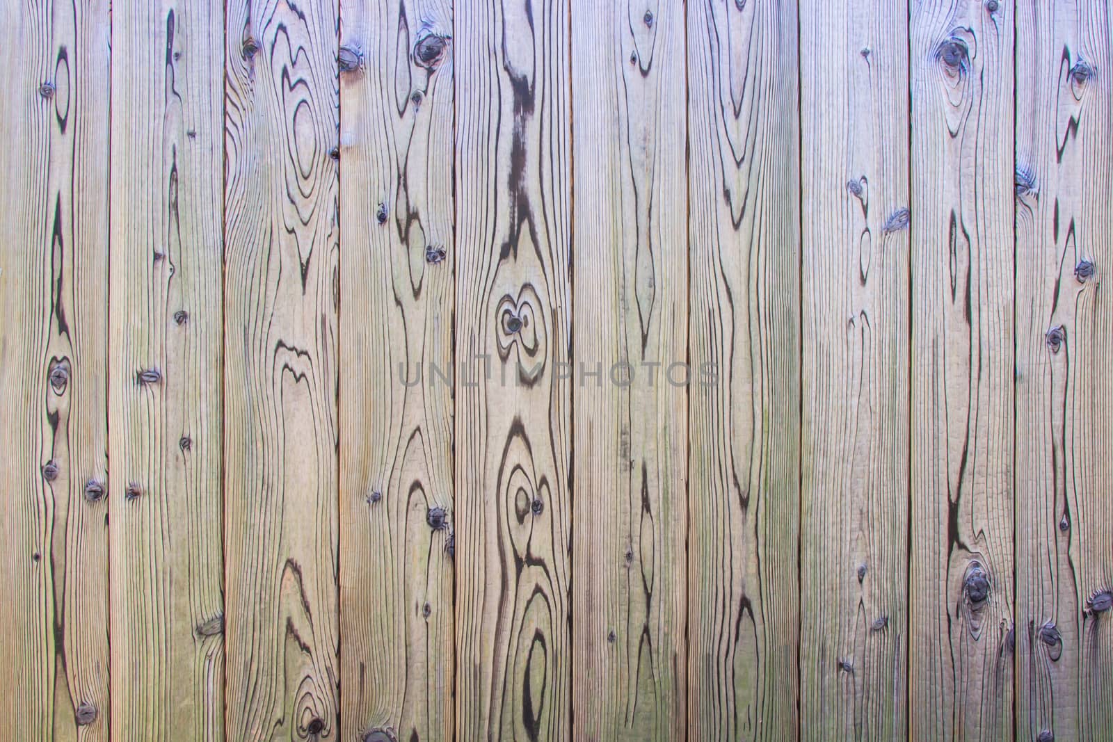 Wood texture. The surface of the gray natural wooden background for design decoration interior and exterior. by prapstock