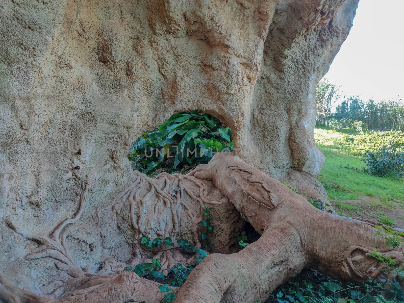 a beautiful rock with green plant inside it