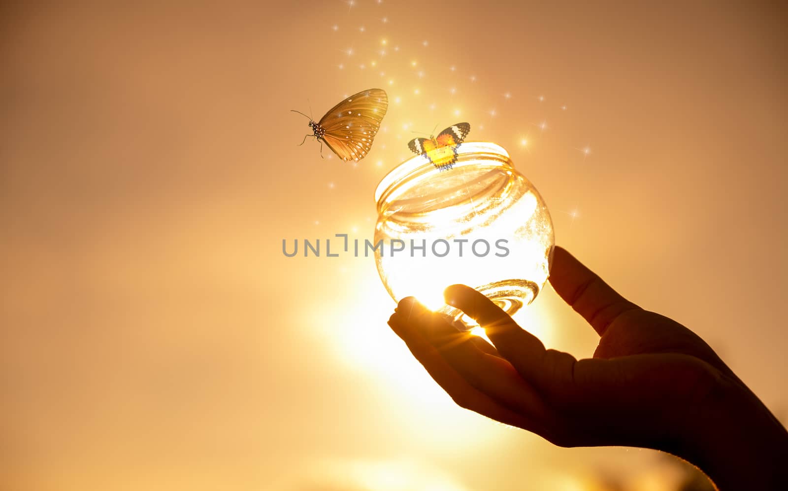 The girl frees the butterfly from the jar, golden blue moment Concept of freedom by sarayut_thaneerat
