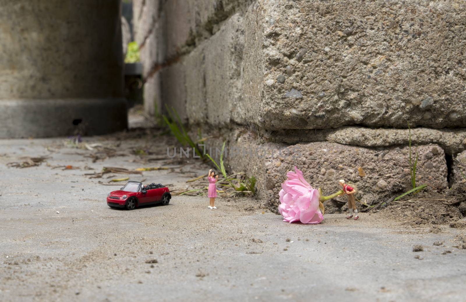 little figure standing on the street with a pink rose for his girl friend