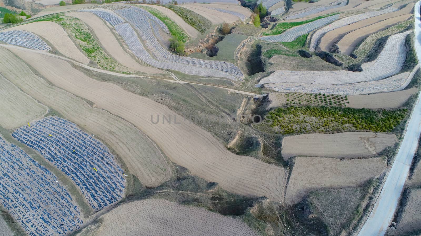 Aerial view of terraced farm field mass production during summer dry season in Tianshui, Gansu Province, China.