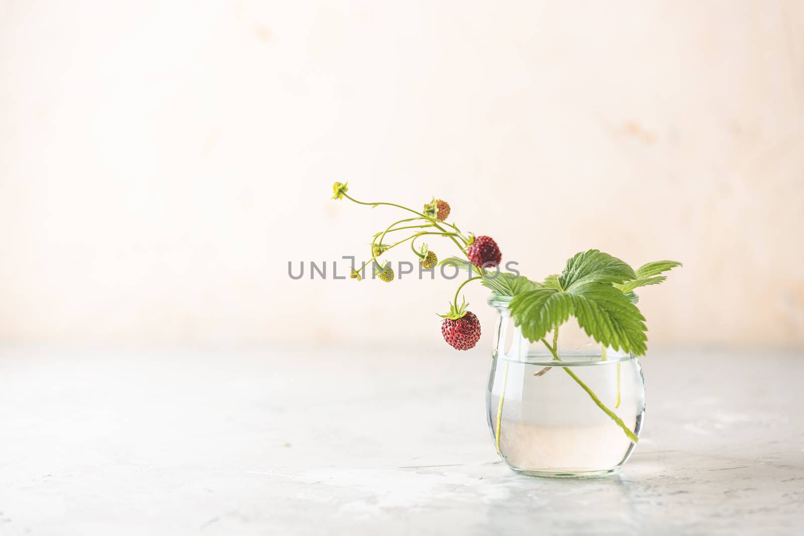 Branch of wild raw ripe strawberries with flowers and leaves in  by ArtSvitlyna