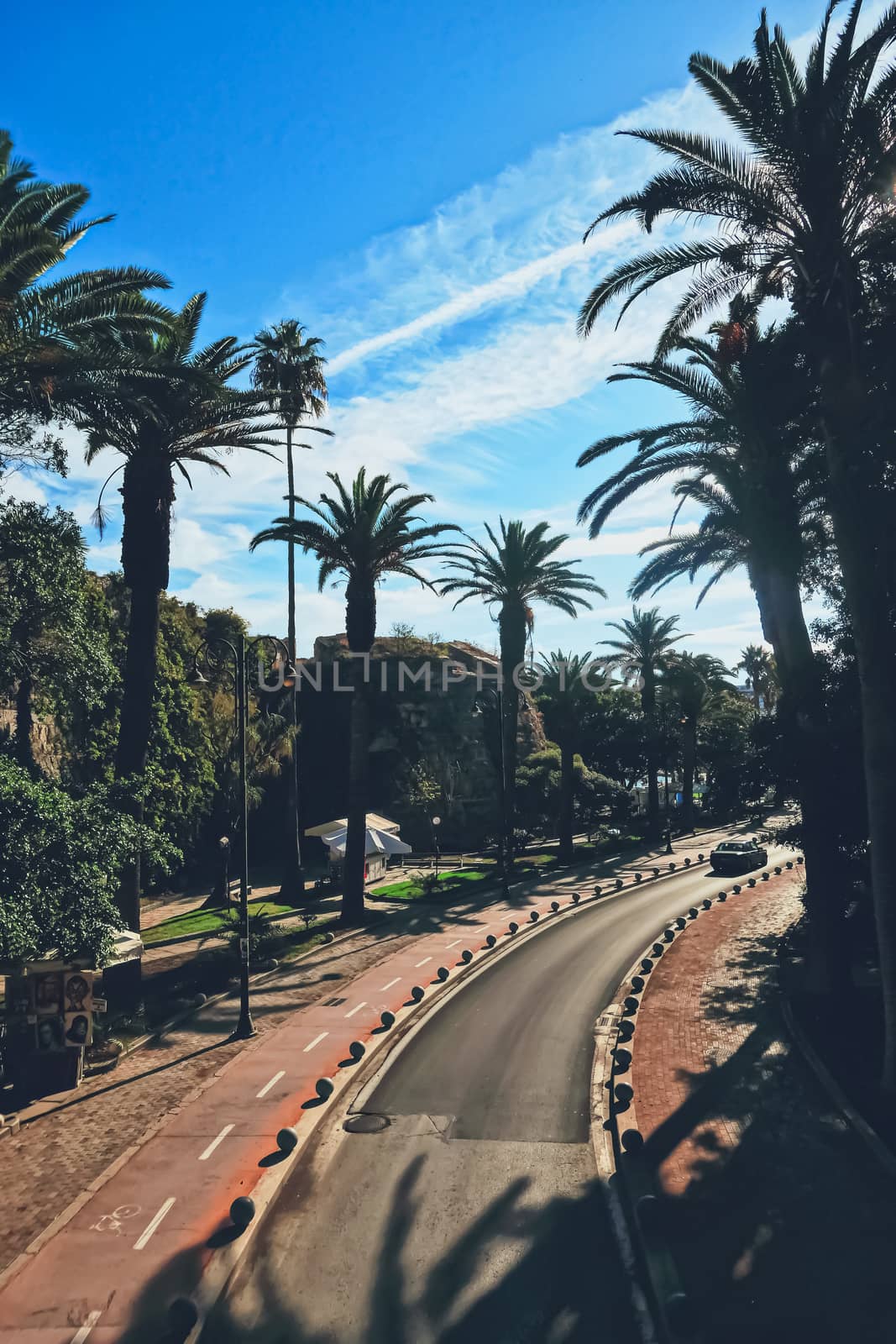 Empty road and palm trees in southern town, travel and nature by Anneleven