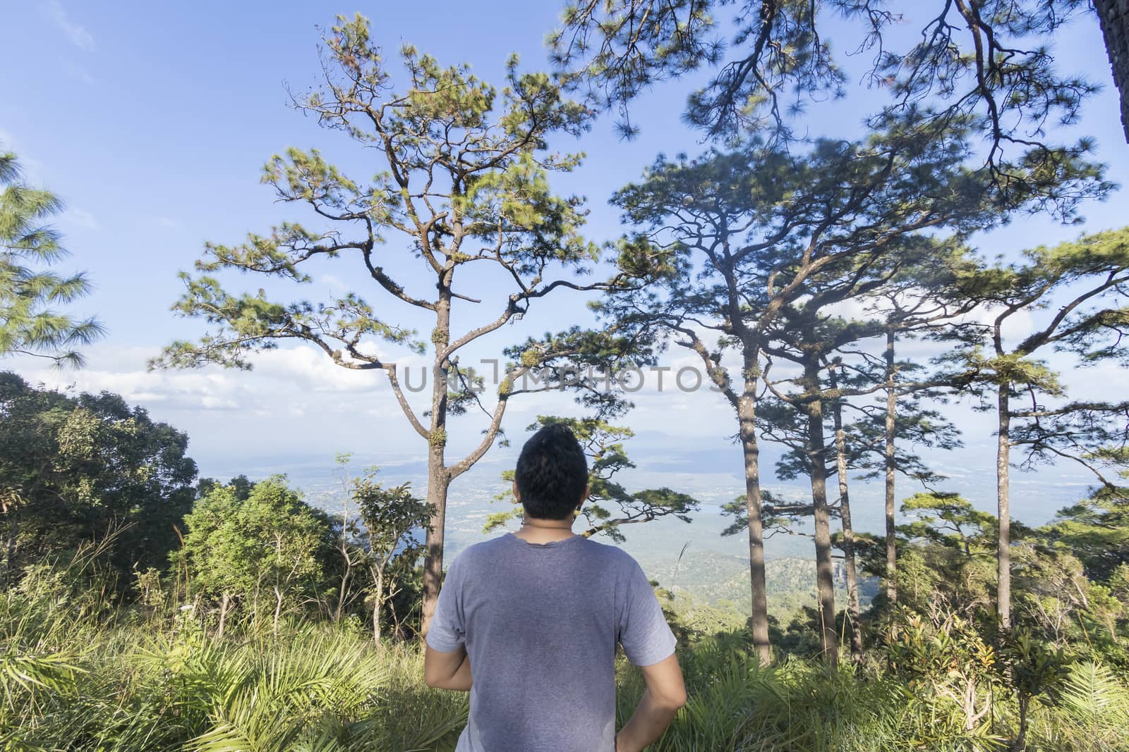Young man standing in pine forest,Travel concept