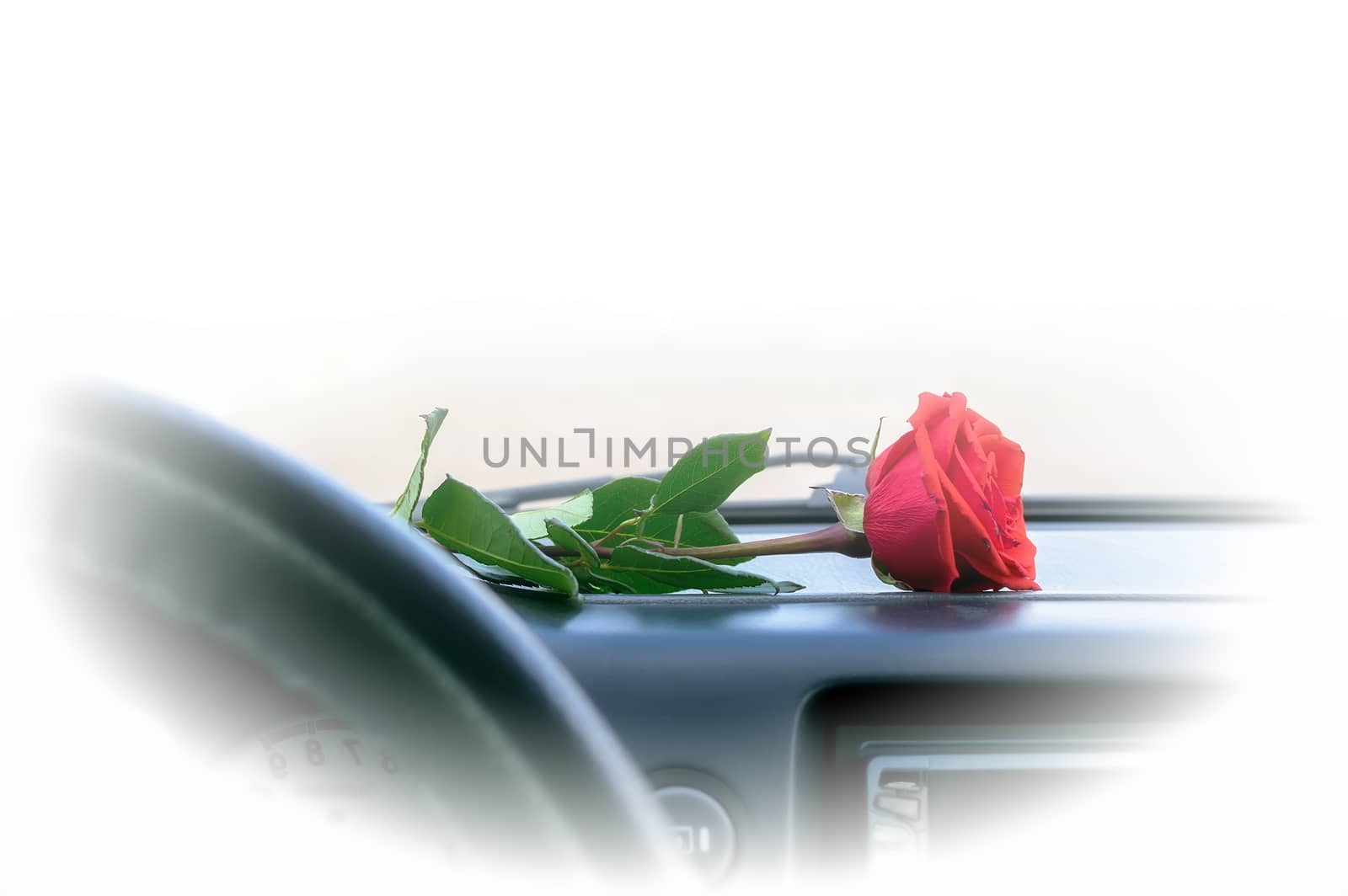 a red rose flower lies on the dashboard inside the car
