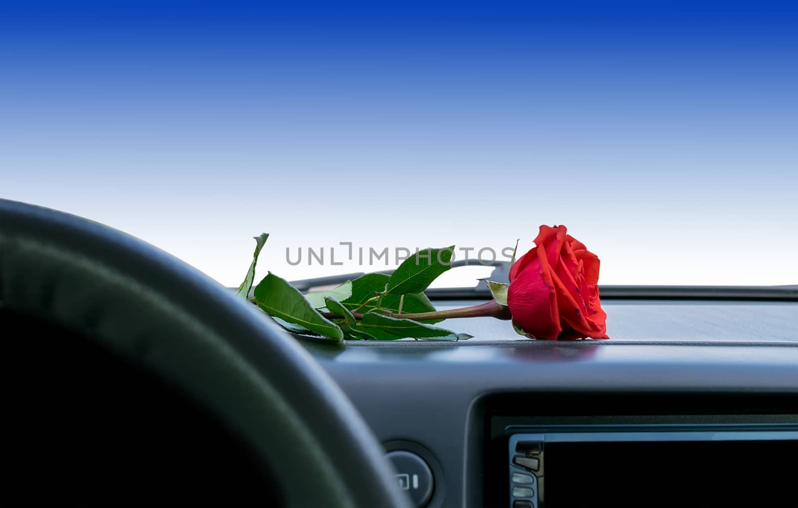 a red rose flower lies on the dashboard inside the car