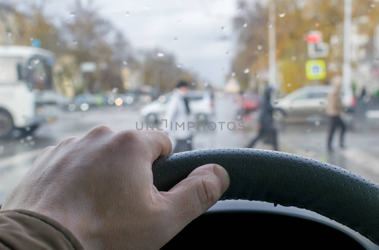 view from the car, a man's hand on the steering wheel of the car, on the background of a pedestrian crossing and pedestrians crossing the road on an autumn rainy day and drops on the windshield