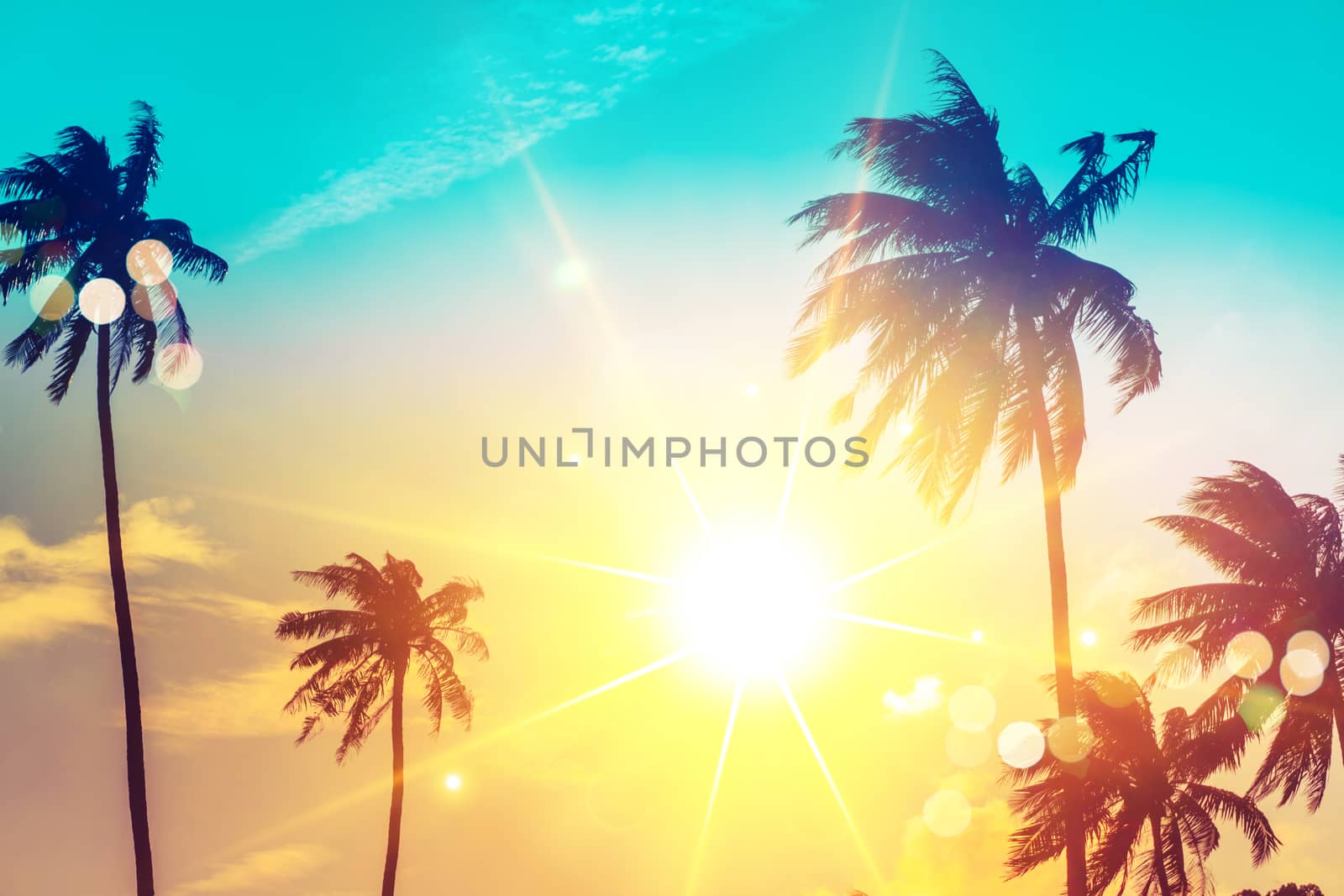 Tropical palm coconut trees on sunset sky flare and bokeh nature. by Suwant