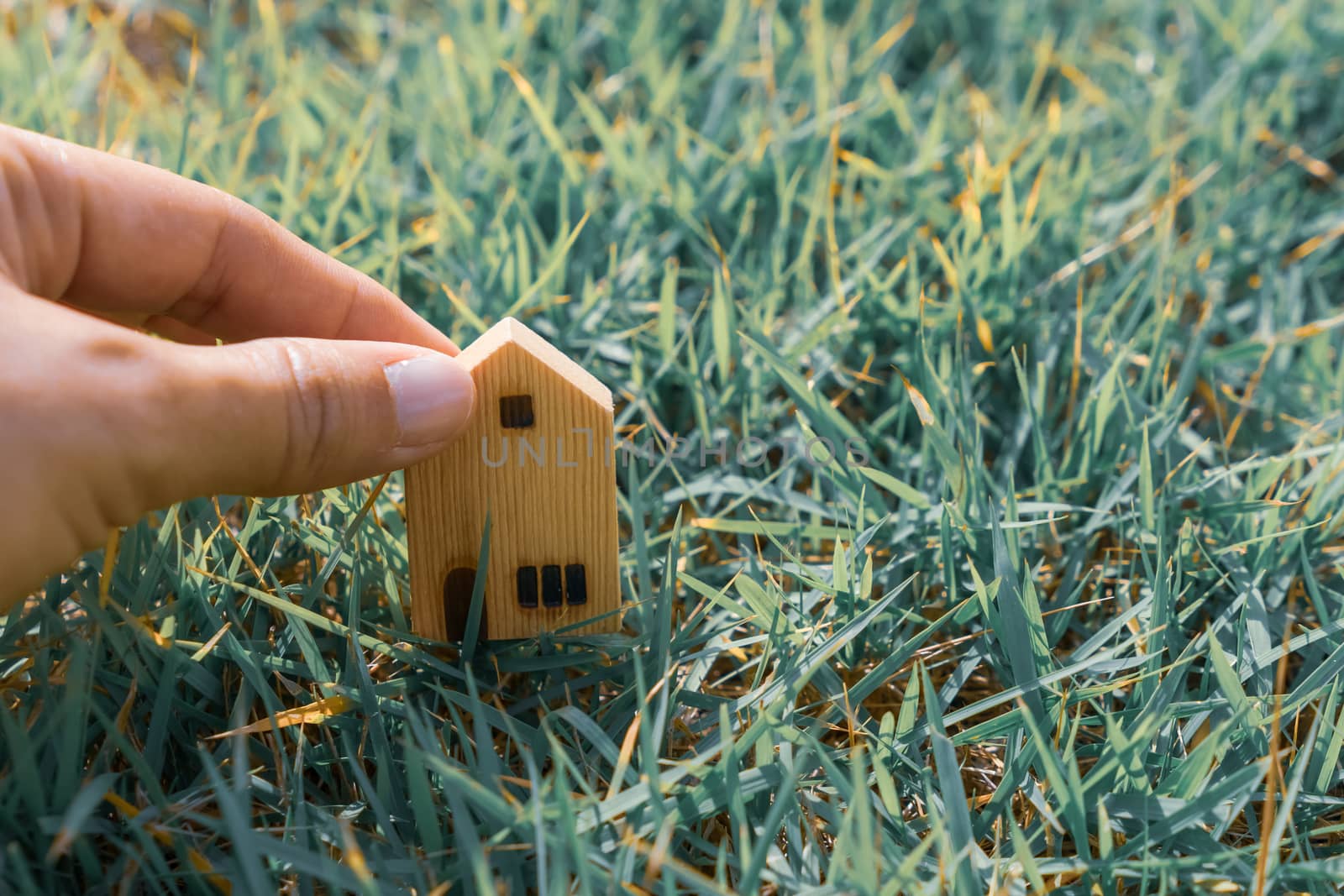 Closed up tiny home model on green grass with sunlight background.