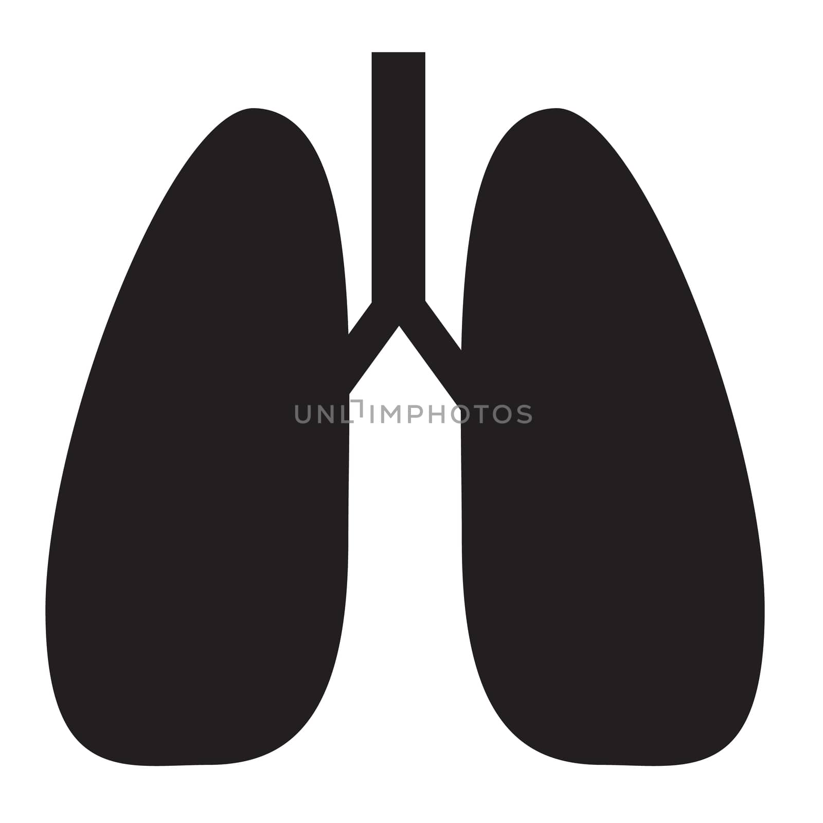 lung icon on white background. lung sign. by suthee