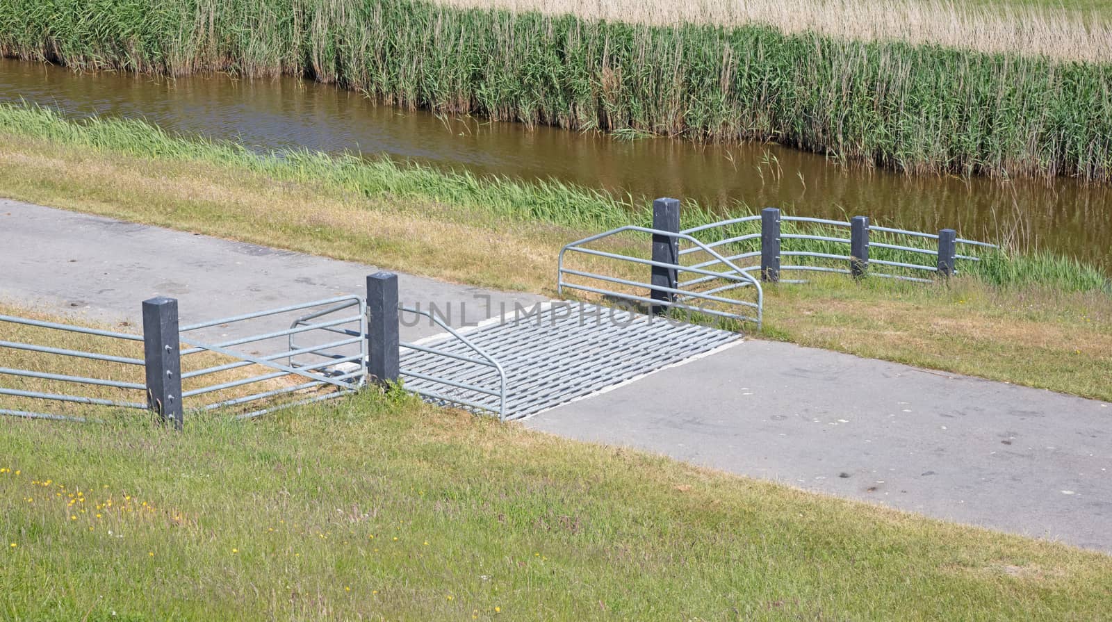 Cattle grid in ground, an obstacle used to prevent wild cattle and other wildlife from crossing