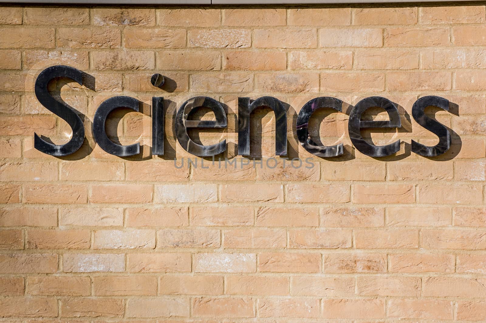 Shiny metal sign on brick wall saying Sciences.