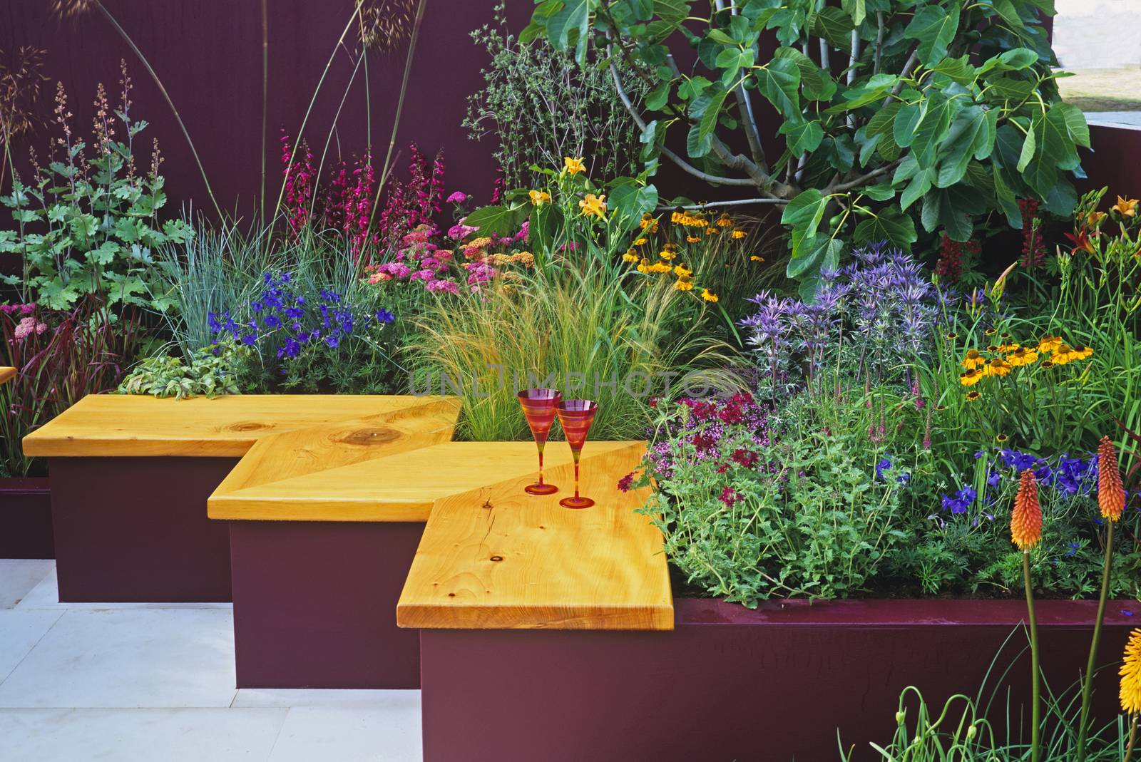 Colourful planting in a 'Summer Cocktail' urban garden