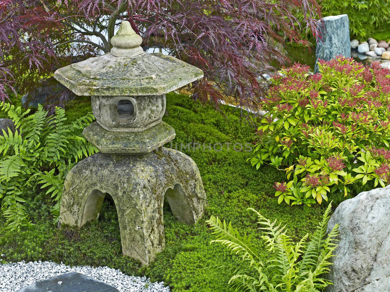 Garden in the style of a Japanese Tea Garden with traditional planting and the traditional Stone Lantern
