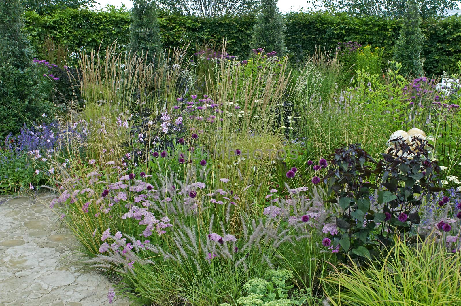 Detail of a flower border with Achillea, Allium and Grasses