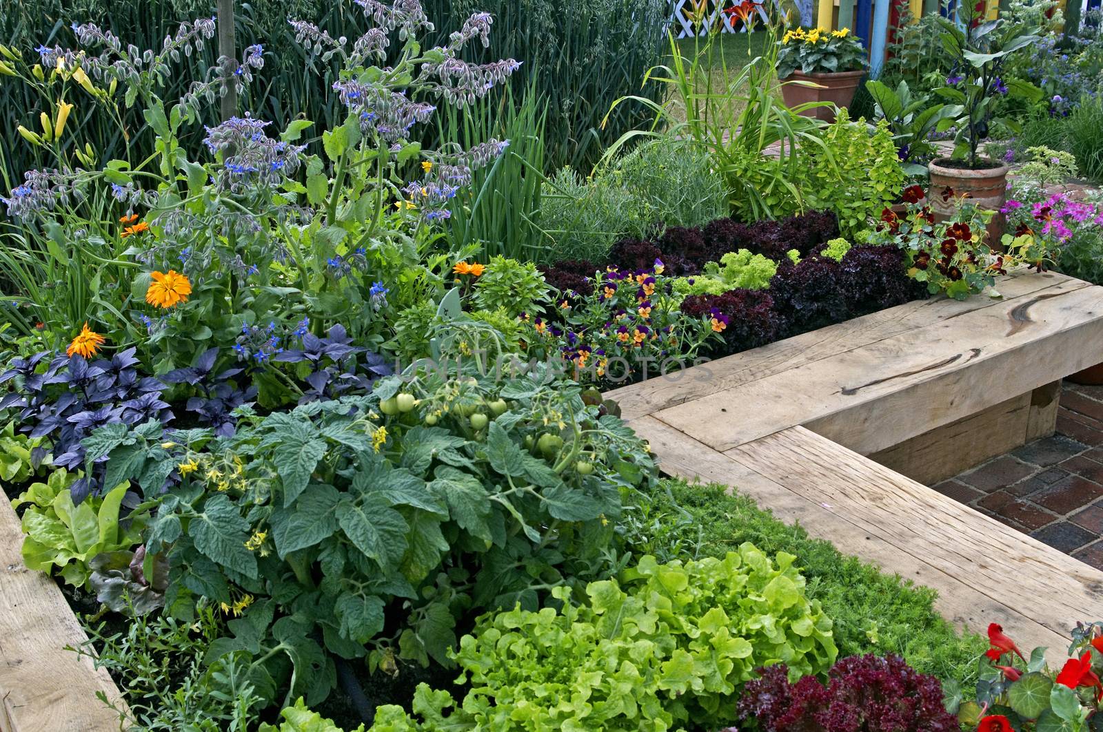 Childrens edible vegetable and flower garden in raised beds