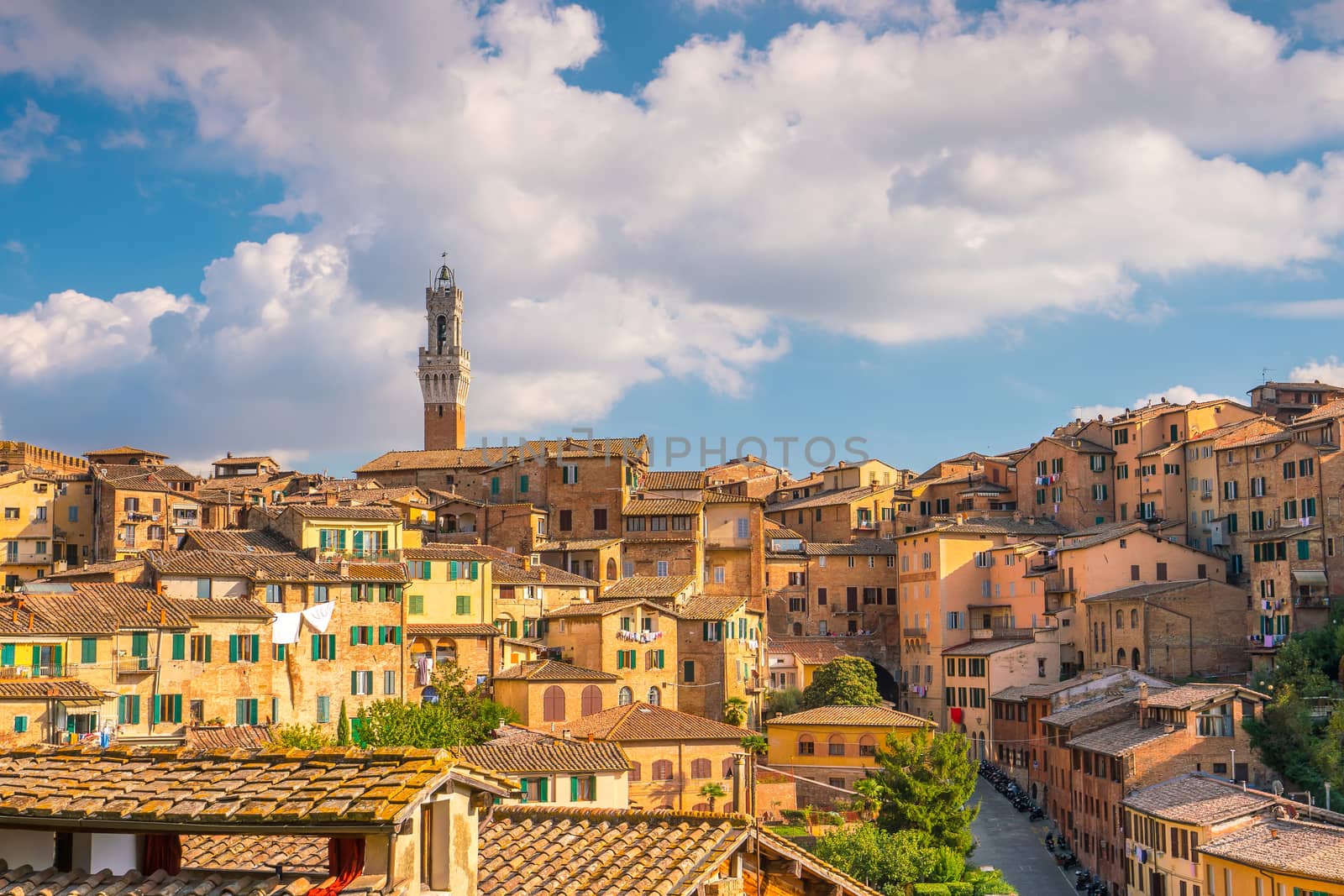 Downtown Siena skyline in Italy  by f11photo