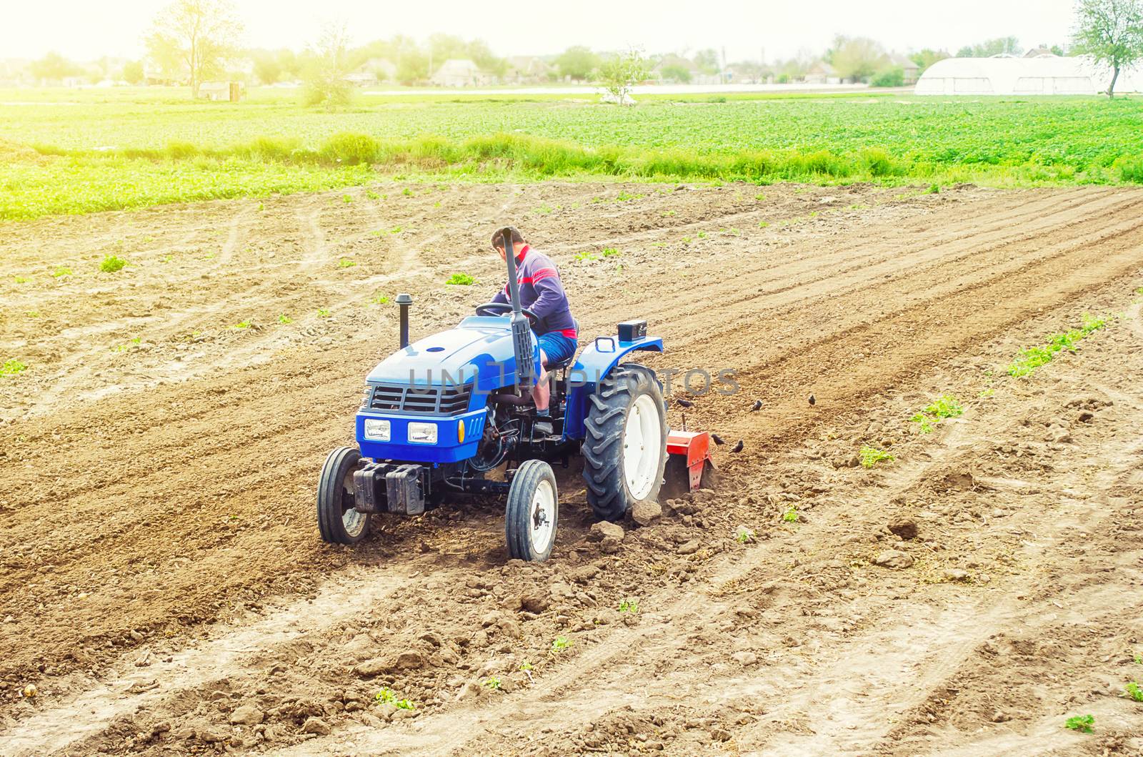 A farmer on a tractor cultivates a farm field. Soil milling, crumbling and mixing. Loosening surface, cultivating land for further planting. Agroindustry, farming. Preparatory work for a new planting.