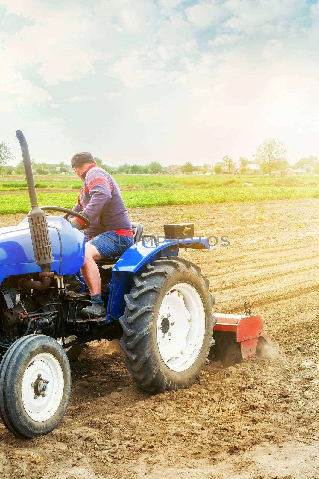 A farmer on a tractor cultivates a farm field. Soil milling, crumbling and mixing. Agriculture, growing organic food vegetables. Loosening the surface, cultivating the land for further planting. by iLixe48