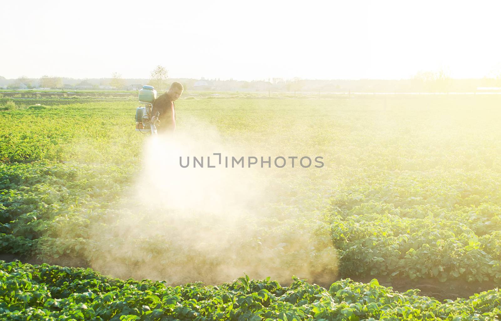 A farmer sprays a cloud of pesticides under the sun's rays on a potato plantation. Protecting against insect plants and fungal infections. Agriculture and agribusiness, agricultural industry. by iLixe48