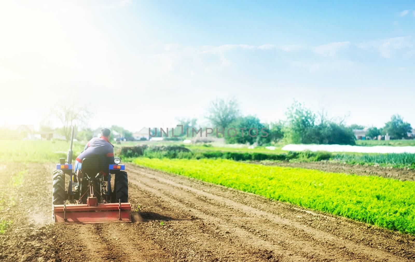 A farmer on a tractor cultivates a field before a new planting. Soil milling, crumbling and mixing. Loosening the surface, cultivating land for further planting. Agroindustry, farming. Growing food