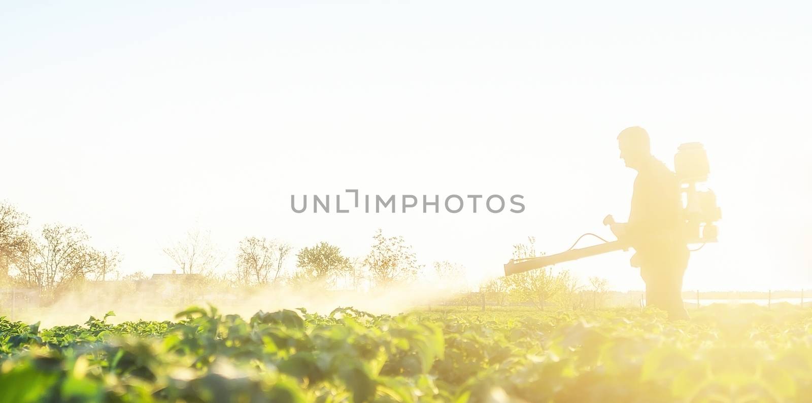 A farmer cultivates a potato plantation to protect pests and fungal diseases of plants from insects. The use of chemicals in agriculture. Agriculture and agribusiness, agricultural industry.