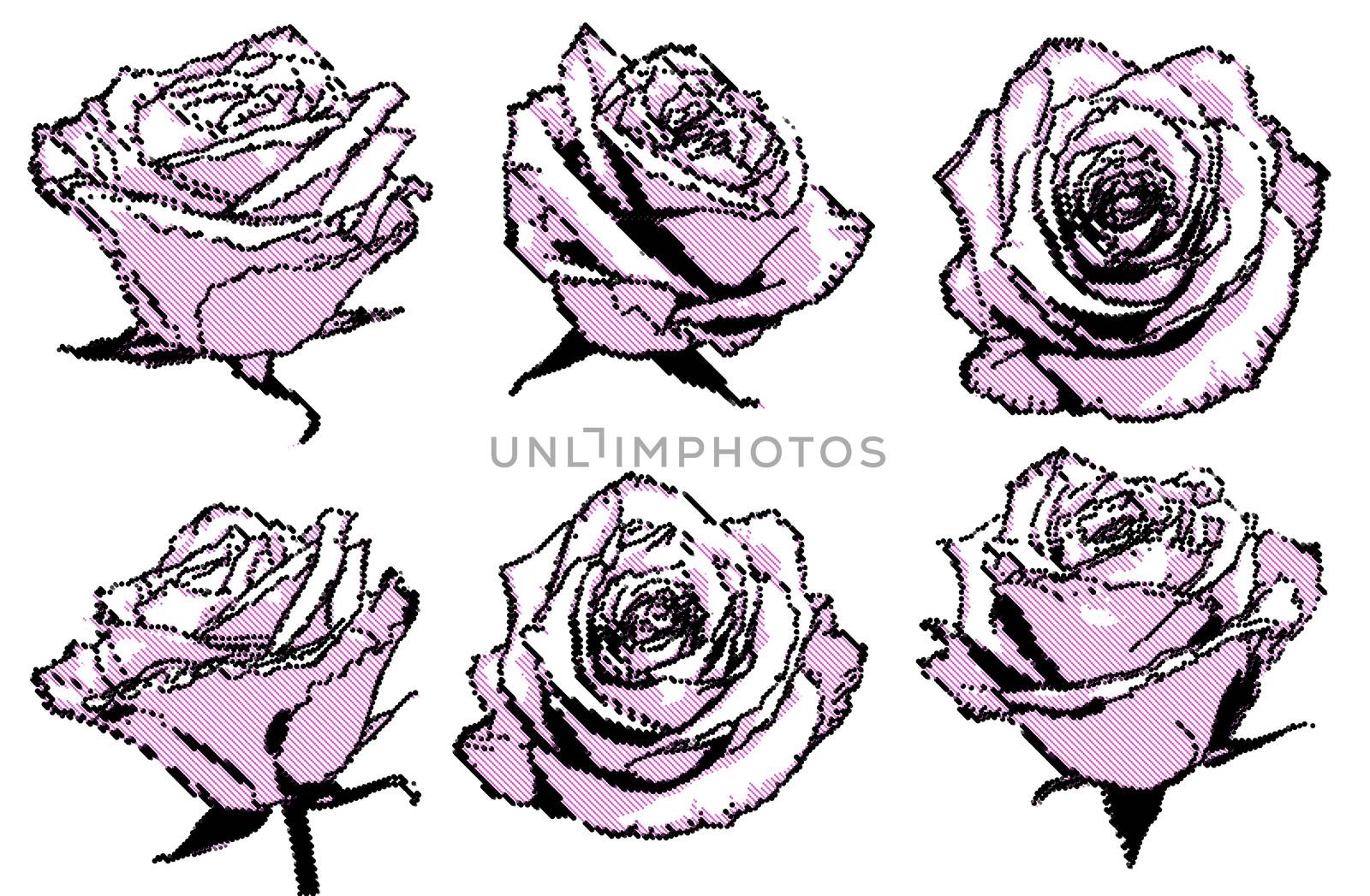 black and pink halftone points roses set