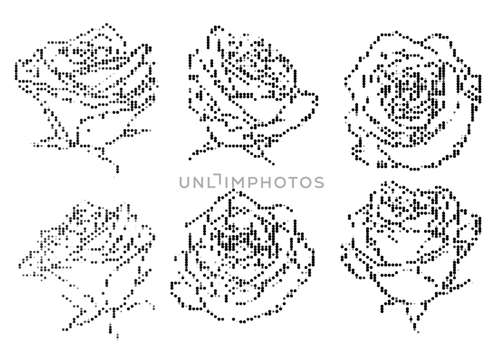 black and white halftone decorative roses illustrations by CherJu