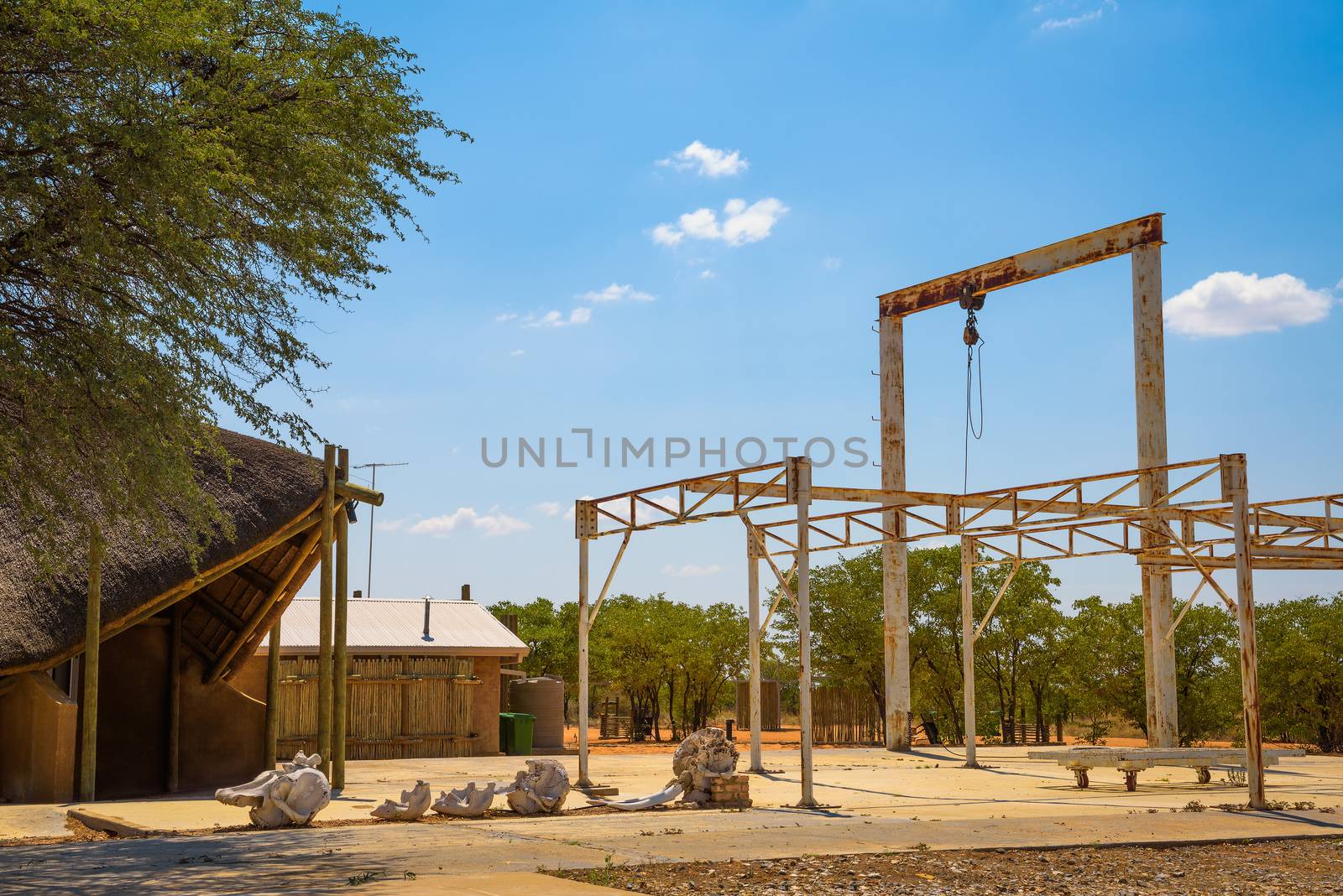 Historic elephant slaughter abattoir at the Olifantsrus Rest Campsite located in Etosha National Park, Namibia. 525 elephants were killed at this facility in two seasons during 1983 and 1985.