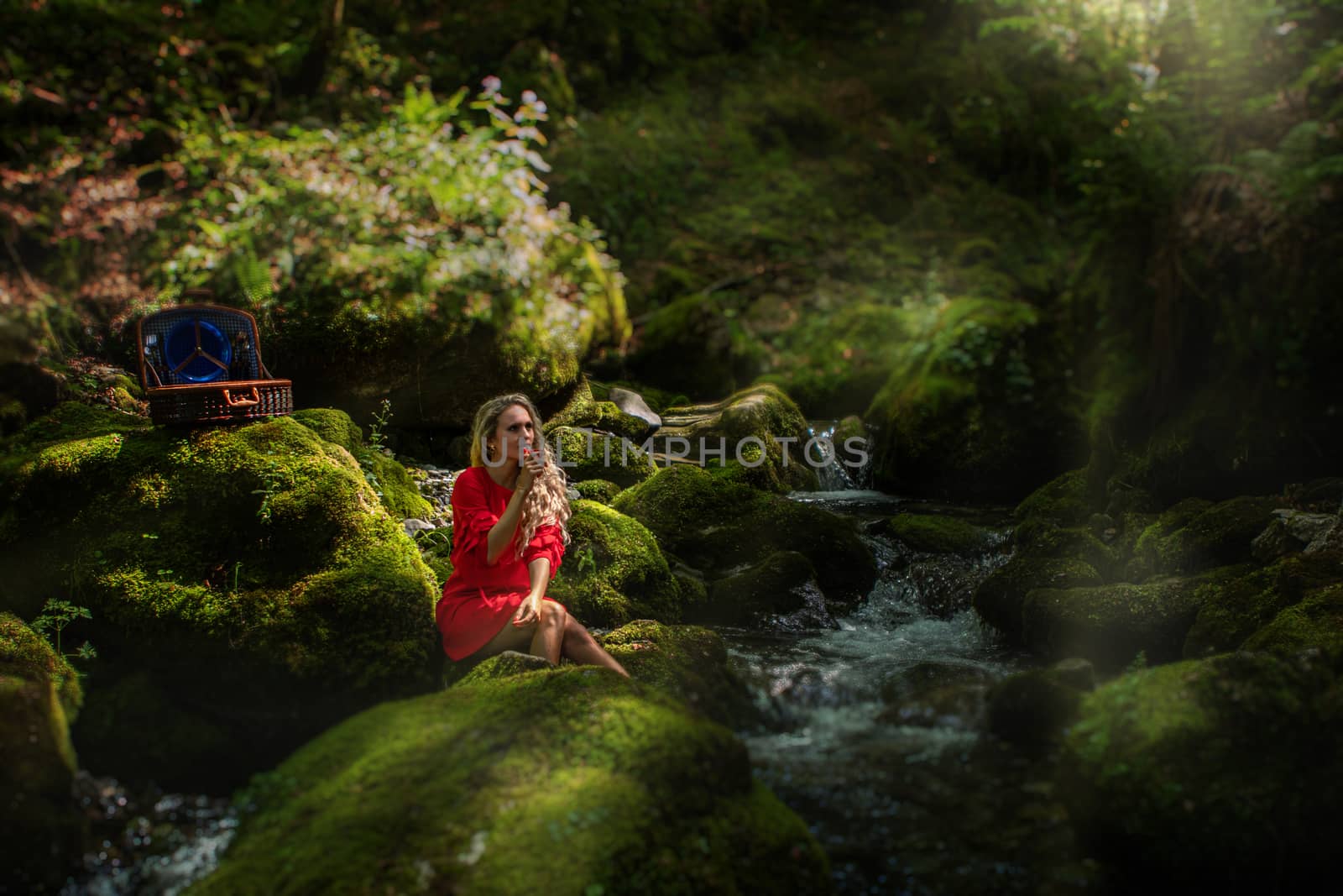 Life style blond model at a pick nick in green natural setting. L by PeterHofstetter