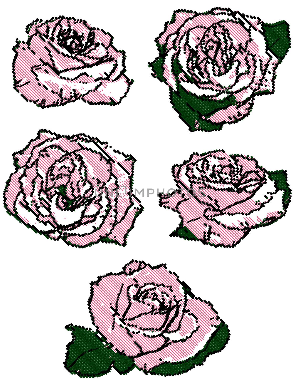 black and pink halftone points roses set