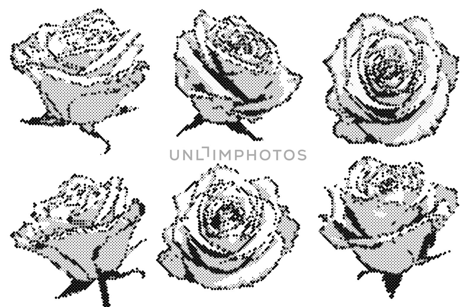 black and white halftone decorative roses illustrations