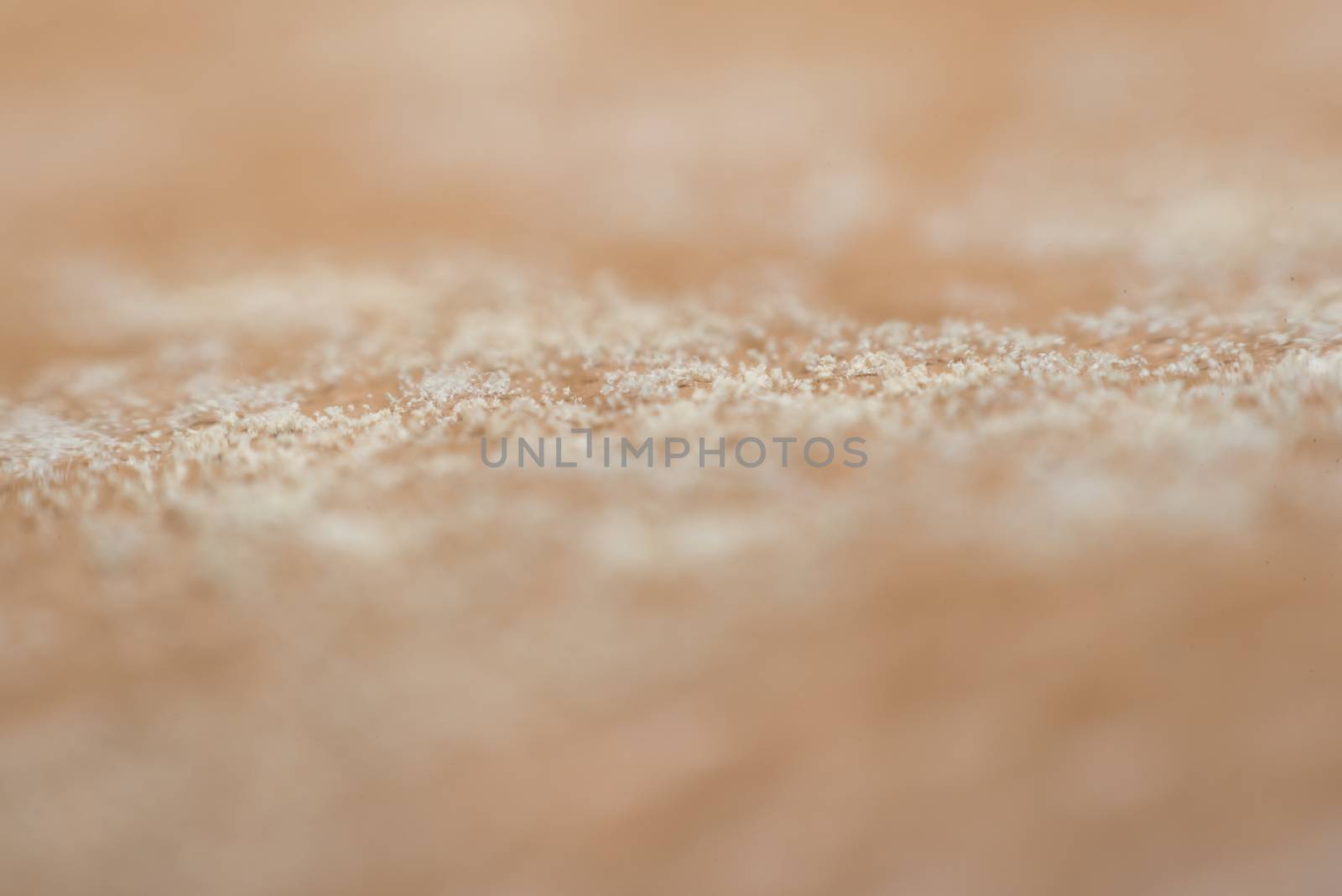 Macro of Mold Spores grown on skin of the leather Molds are a large and taxonomically diverse number of fungal species in which the growth of hyphae results in discoloration and a fuzzy appearance