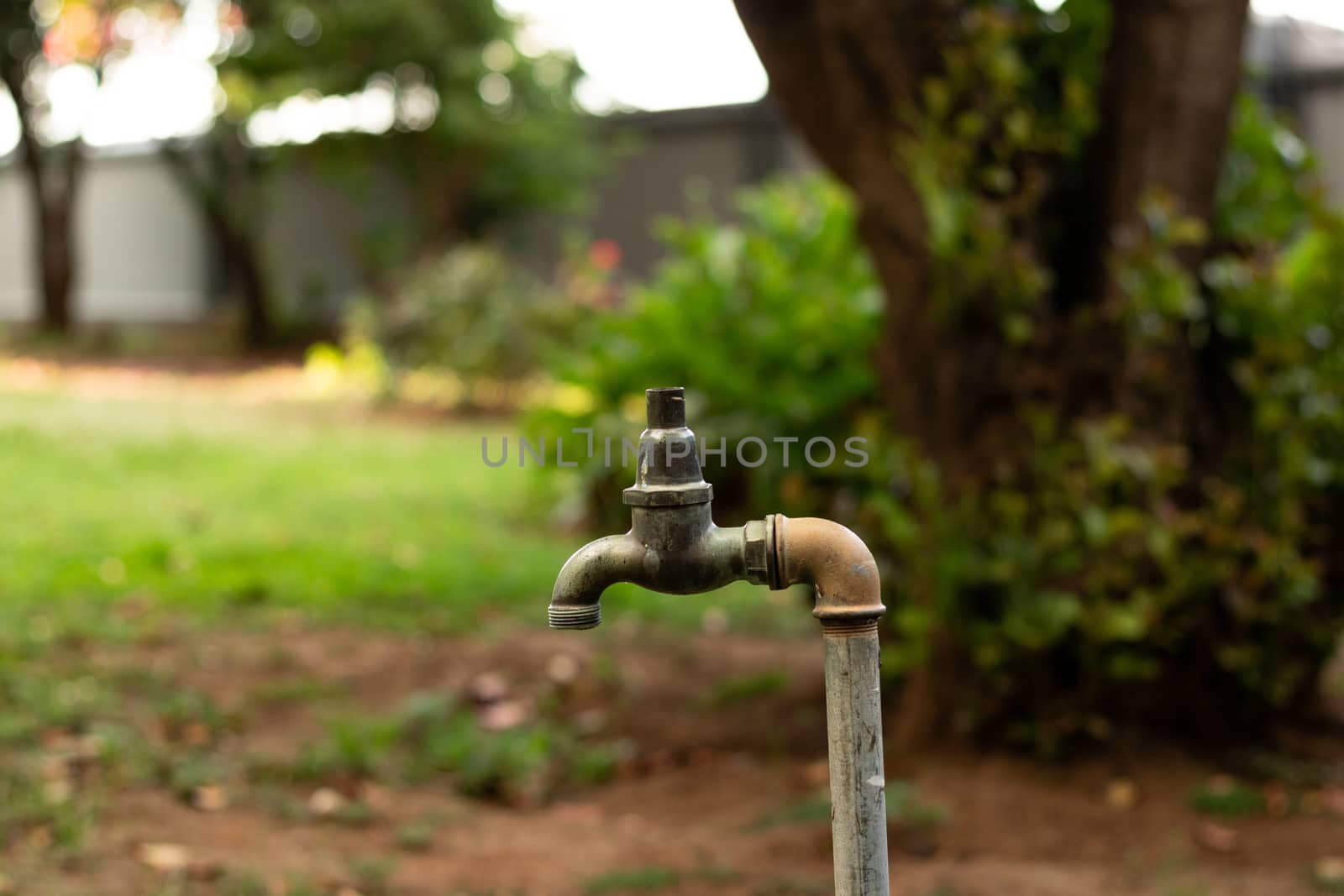 Broken water tap in the garden
