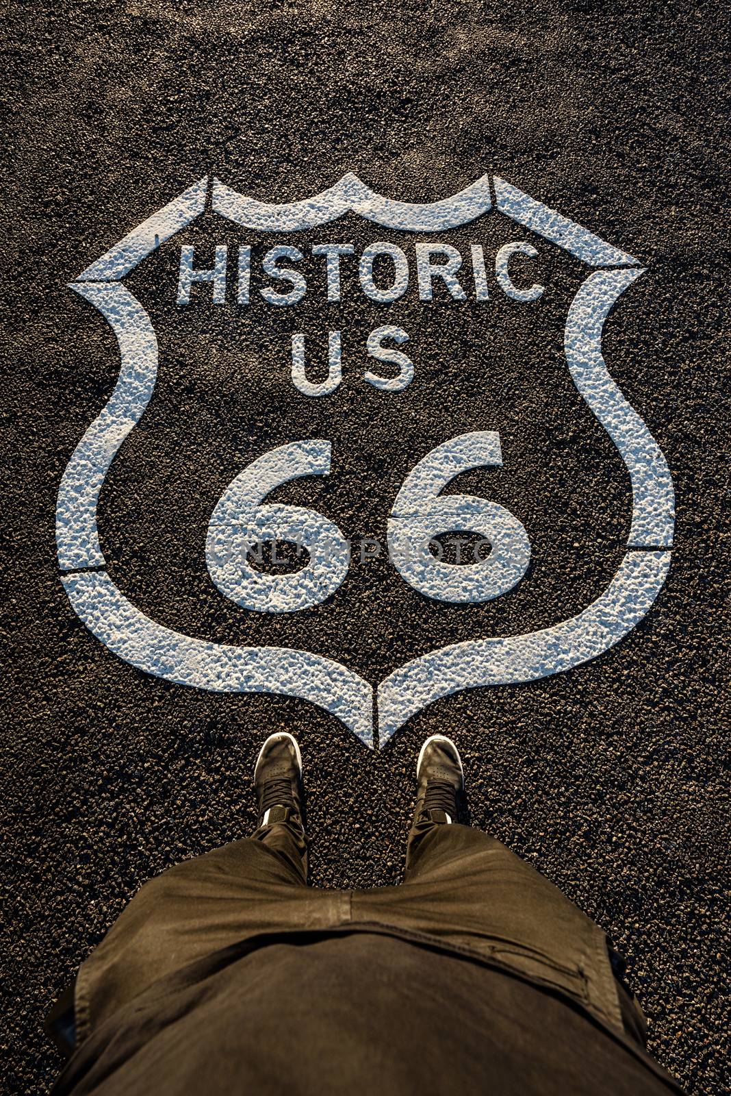 Historic route 66 mark on asphalt surface  by nickfox