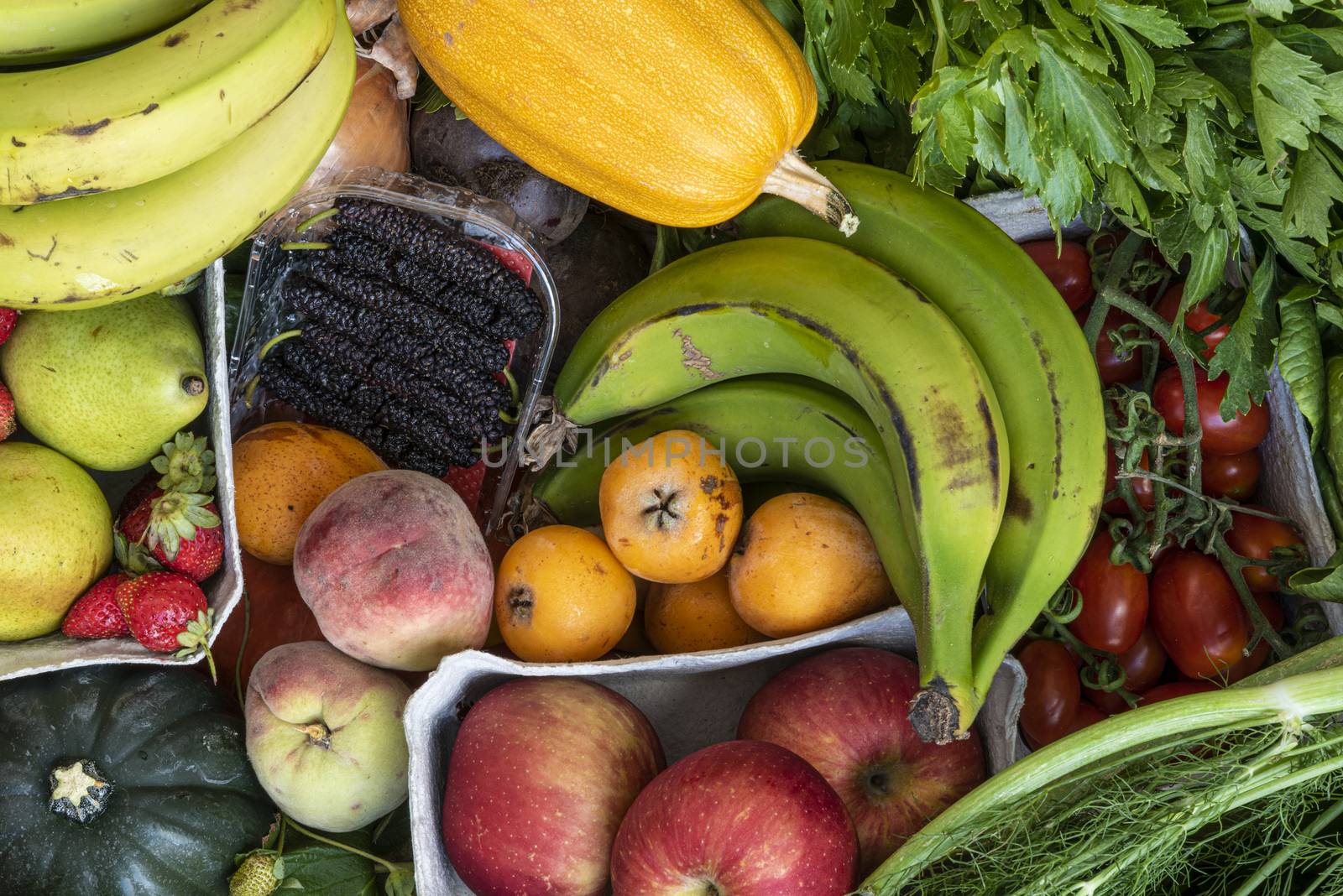Organic Vegetables and fruits by avirozen