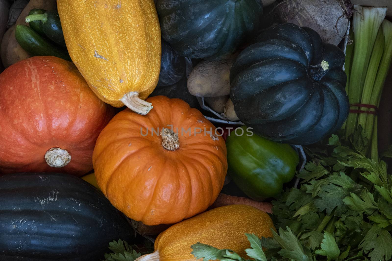 Organic Vegetables and fruits by avirozen