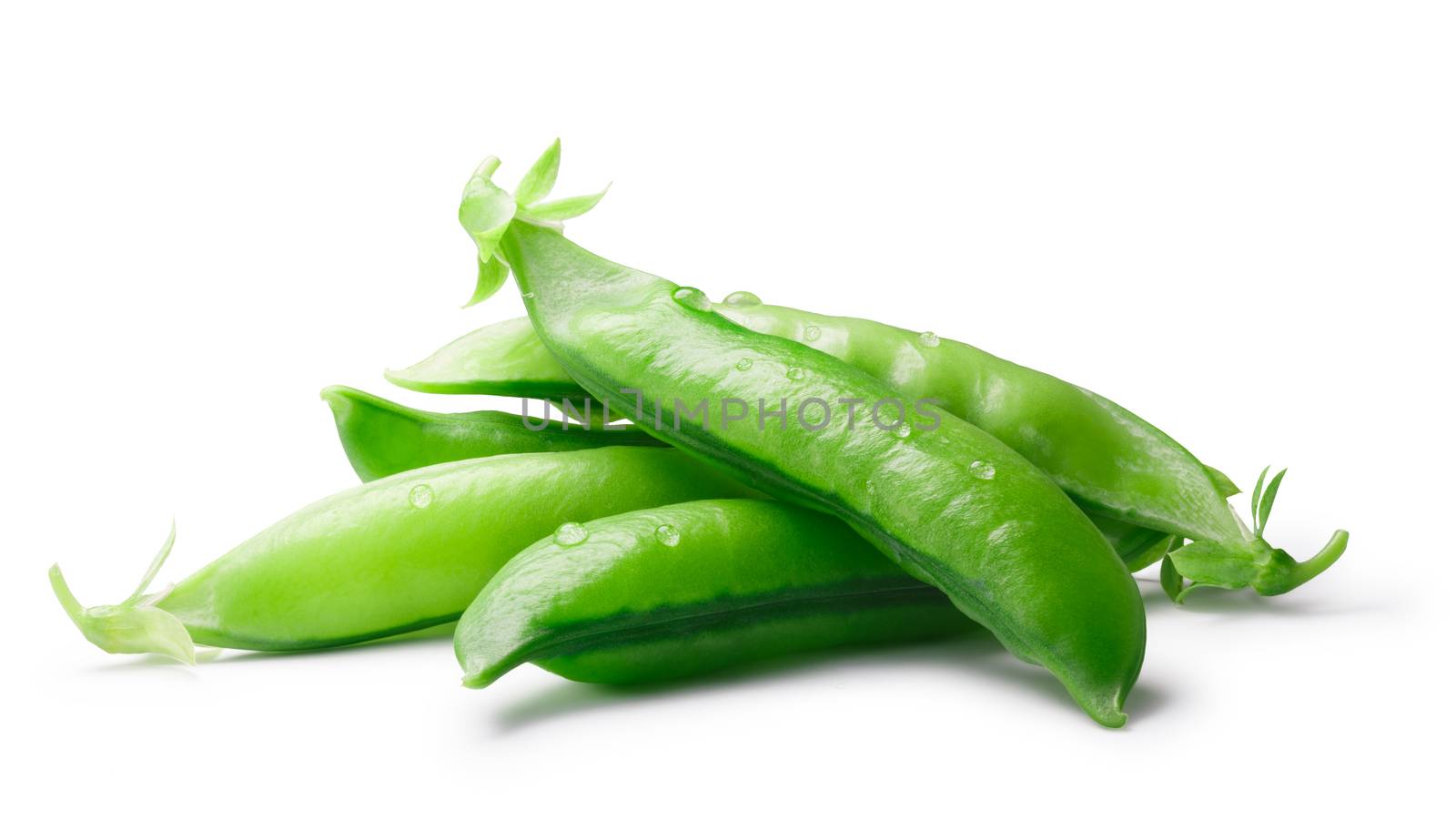 Pile of Green Sugar Pea pods (Pisum sativum). Clipping paths, shadows separated