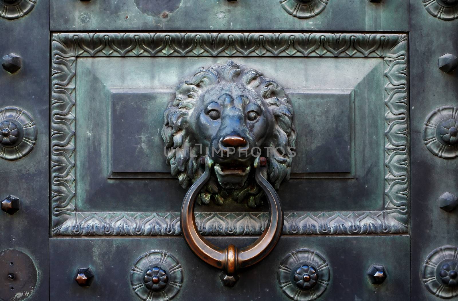 Nice ancient metal door with doorknob as lion head