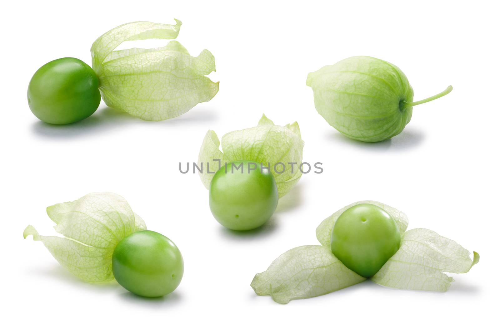 Set of single Tomatillos (Physalis philadelphica) with their husks. Clipping paths, shadows separated