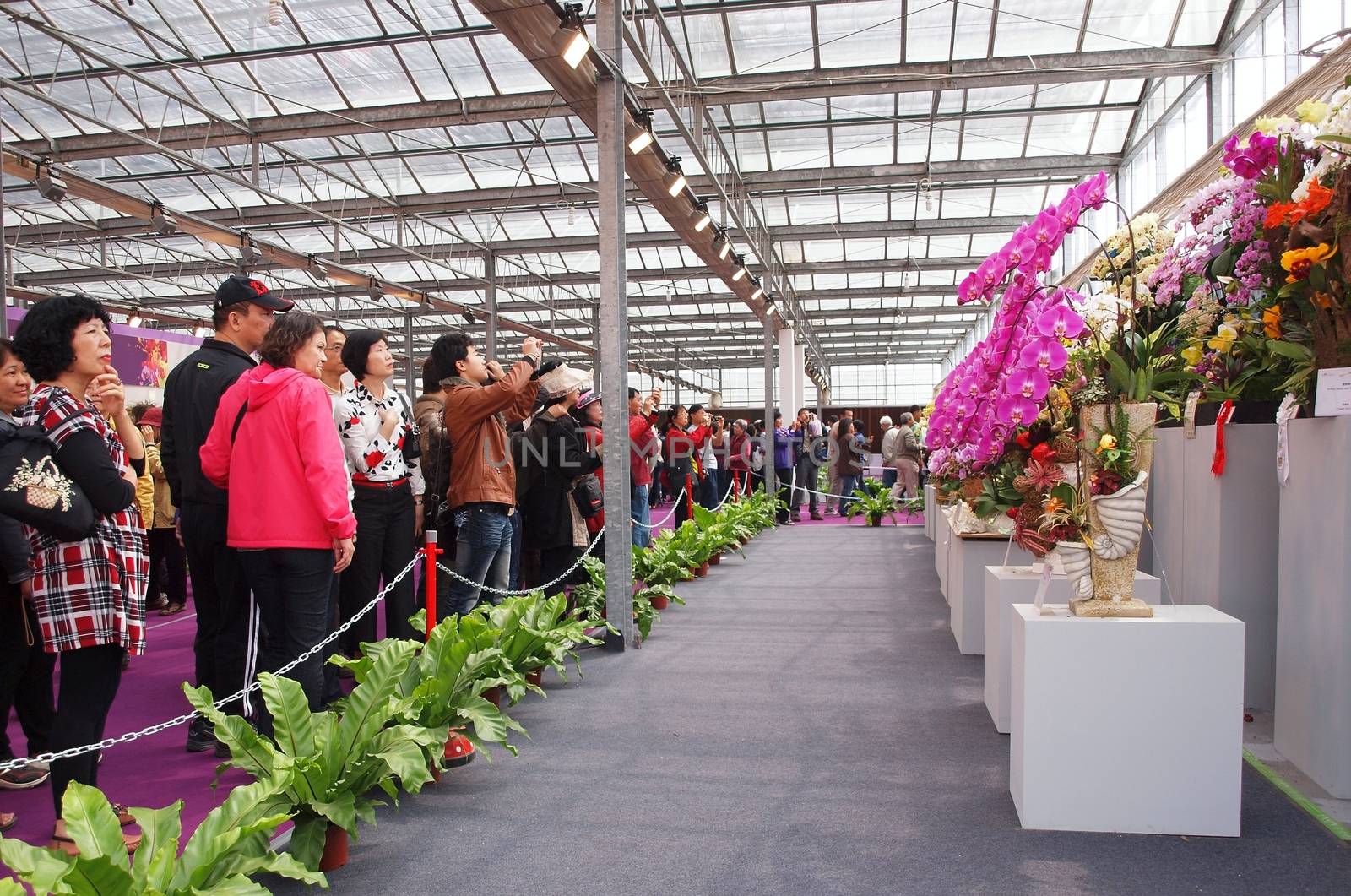 TAINAN, TAIWAN - MARCH 14: Visitors enjoy the flower exhibits of the 2013 Taiwan International Orchid Show on March 14, 2013 in Tainan.