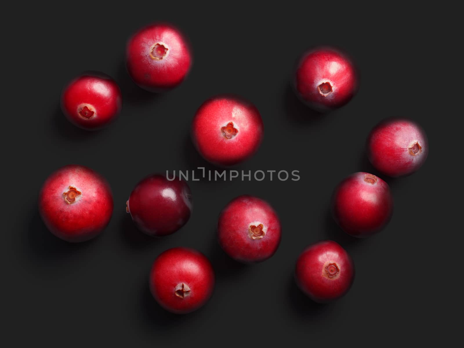 Wild cranberries (Vaccinium oxycoccus) on black, top view. Clipping paths, shadow separated