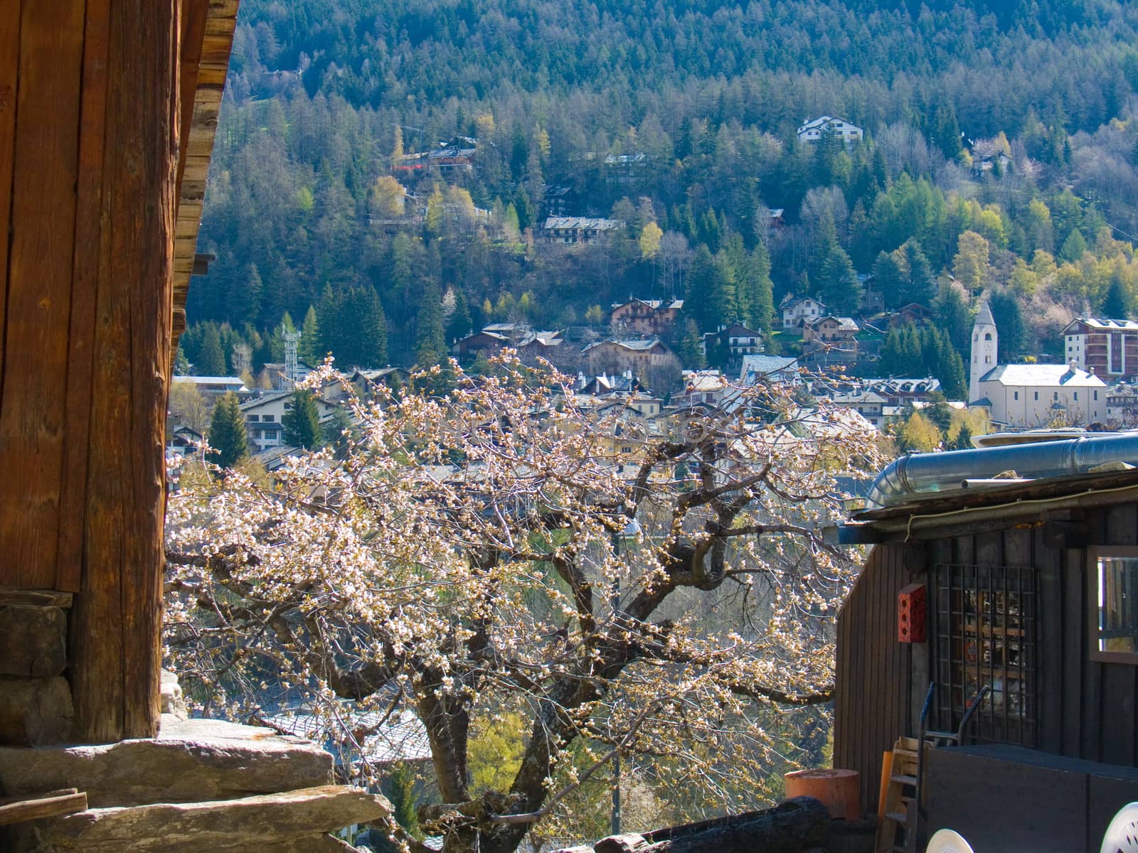 dolonne,courmayeur,val d'aoste,italie