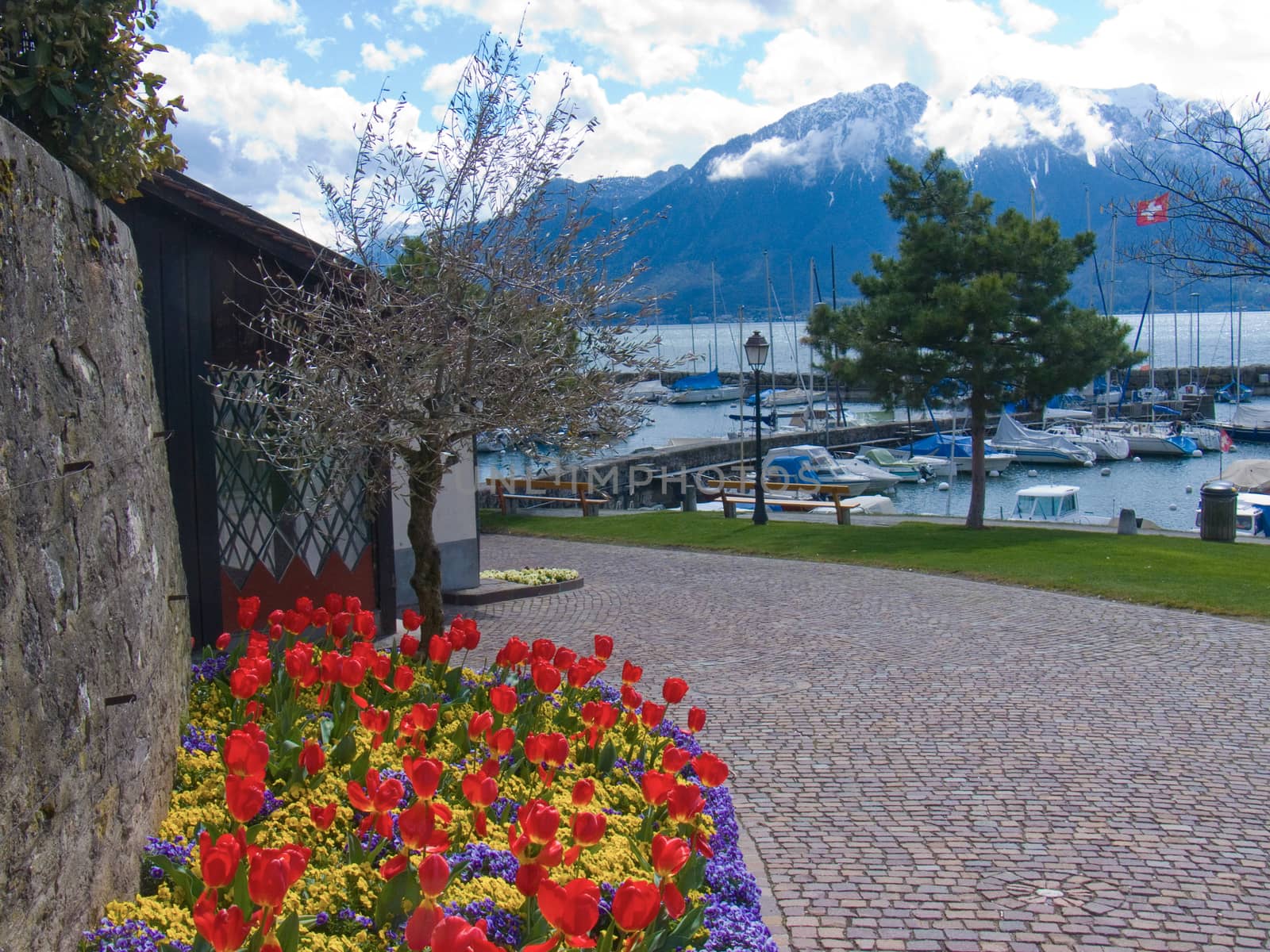 la tour de peitz,lac leman ,vaud,suisse