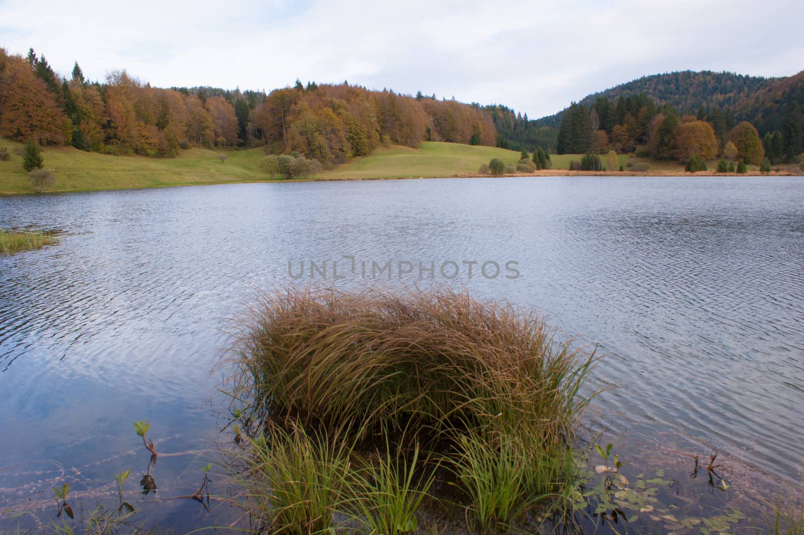 lac genin,ain,france