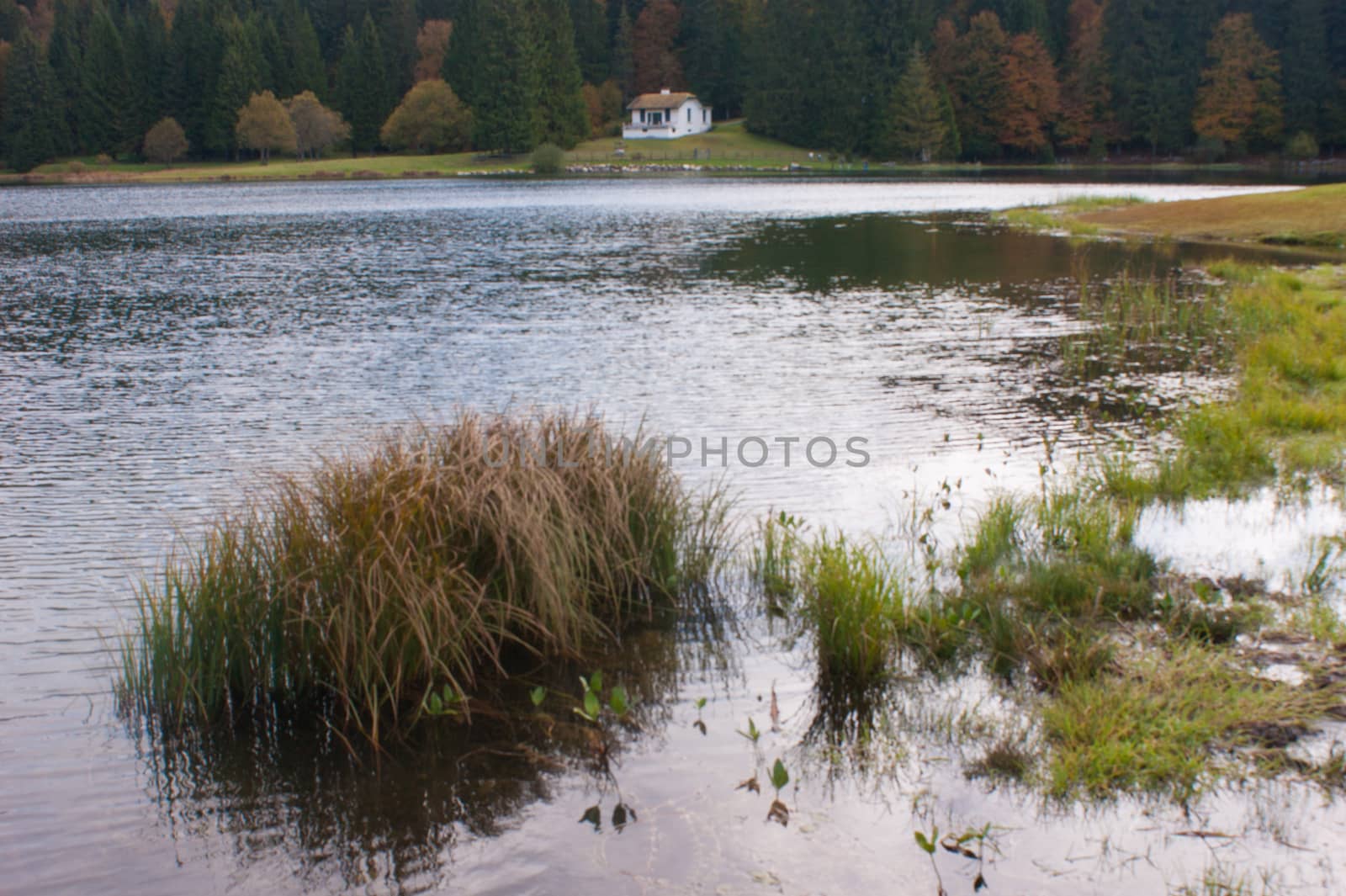 lac genin,ain,france