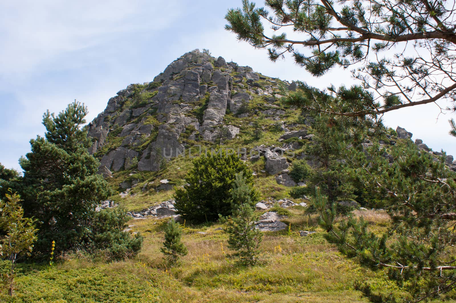 mont gerbier des jonc,haute loire,auvergne,france